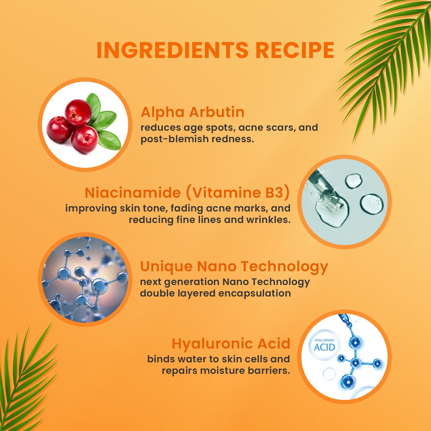 acinamide and Hyaluronic Acid